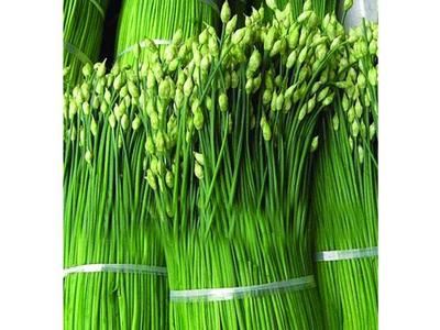 人和蔬菜配送,天美和农产品(图),花都蔬菜配送_人和蔬菜配送,天美和农产品(图),花都蔬菜配送价格_人和蔬菜配送,天美和农产品(图),花都蔬菜配送厂家-勤加缘网【广州市天美和饮食管理服务】